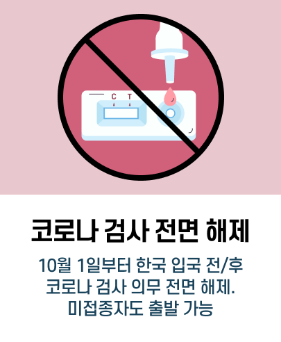 베트남->한국 입국 시