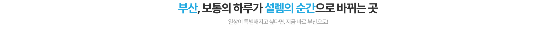 부산, 보통의 하루가 설렘의 순간으로 바뀌는 곳